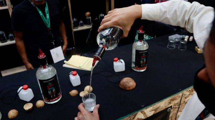 OAXACA pelea en tribunales denominación de origen del MEZCAL