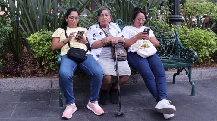 ¿El 10 de mayo 2025 es día feriado obligatorio en OAXACA por ser Día de las Madres?