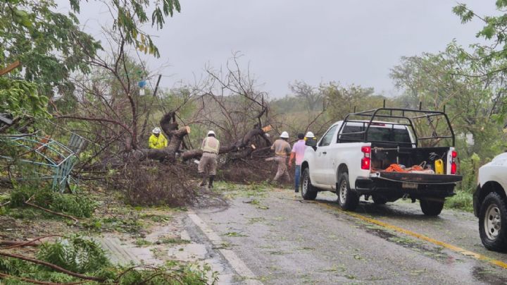 Más de 120 mil usuarios se quedan sin luz tras paso de huracán Erick en Oaxaca; sólo 26% se ha restablecido, informa CFE