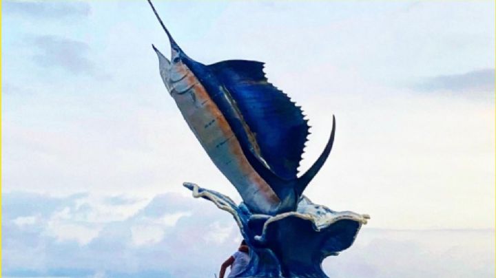 Huracán Erick ¿Qué pasó con el mítico Pez Vela que fue arrasado por una ola en Puerto Escondido?