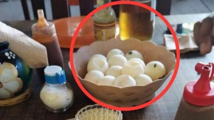 Separan del cargo a funcionario de Oaxaca presuntamente por consumir huevos de tortuga