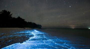 La laguna mágica de OAXACA que por la noche se ilumina como si fuera un cielo estrellado
