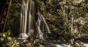 ¿Cuál es el Pueblo Mágico de OAXACA donde vivió María Sabina y que es famoso por sus hongos?