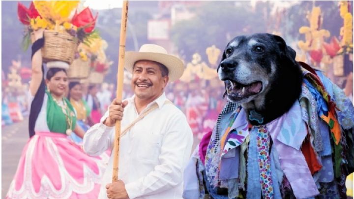 Mazapán reaparece: El perrito de las calendas protagonizó el Primer Desfile de Delegaciones 2025 en OAXACA