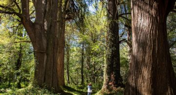 ¿Cuál es el pueblo mágico de OAXACA más barato y más bonito según la inteligencia artificial?
