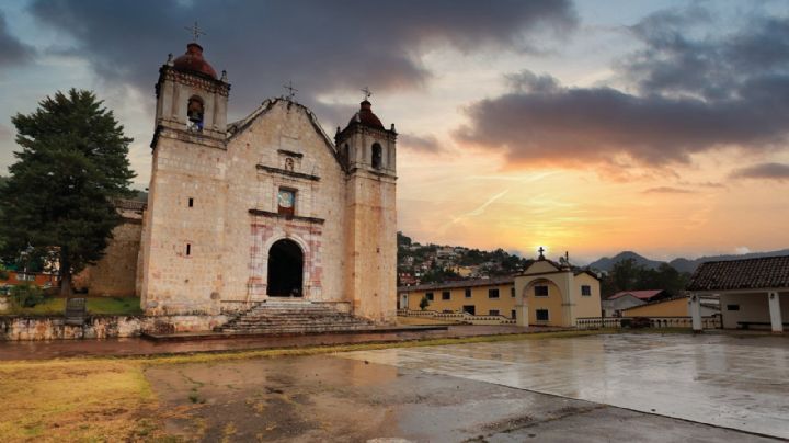 El rincón oculto en la sierra de OAXACA en el que puedes convivir con venados cola blanca en su hábitat natural
