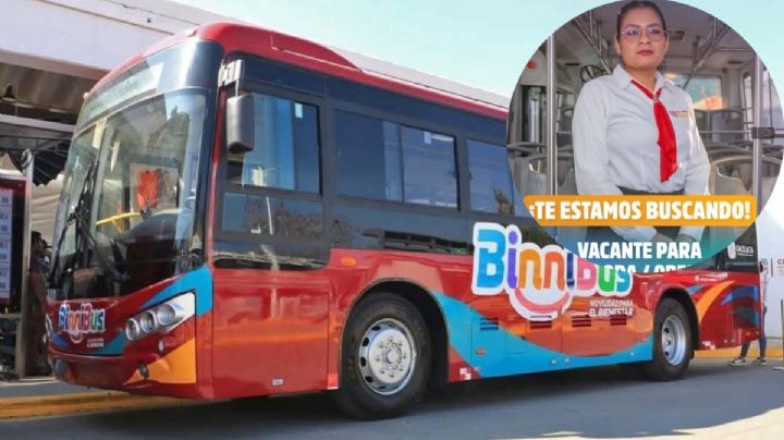 BinniBus te abre la puerta! ¿Qué requisitos necesitas para formar parte de su plantilla de trabajo en OAXACA?