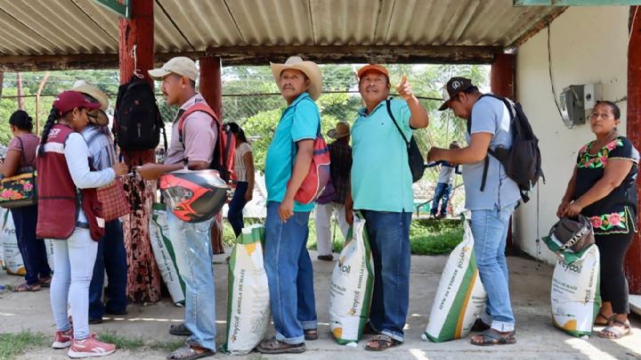 Continúa ayuda a damnificados por el huracán Erick en Oaxaca; entregan insumos agrícolas en la región de la Costa