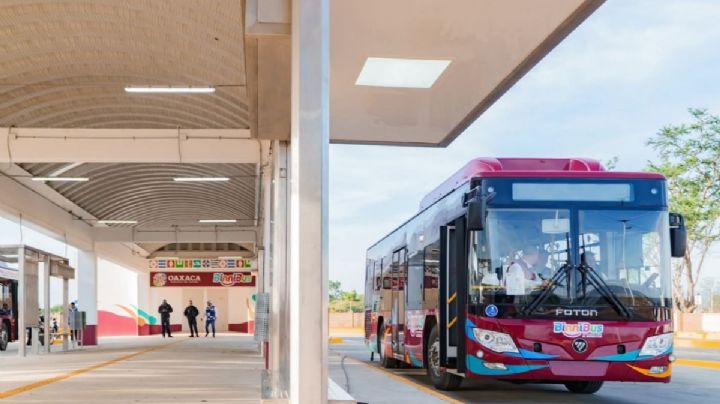 Listas 25 unidades del BinniBus para la ruta troncal Xoxocotlán-Trinidad Viguera