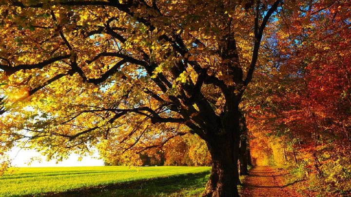 ¿Dónde ver el Equinoccio de Otoño 2025 en OAXACA? Actividades gratuitas para disfrutar el cambio de estación