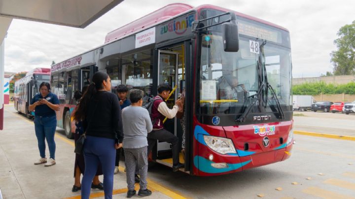 Nueva Ruta Troncal del BinniBus: ¿Cuál es su recorrido en OAXACA y en qué meses será GRATIS?