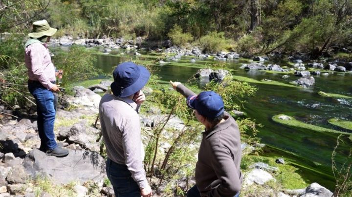 ¿Cuándo estará lista la Presa Margarita Maza en OAXACA? Revelan posible fecha de inauguración