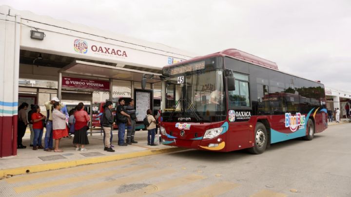 BinniBus abre convocatoria para trabajar como operador en OAXACA: requisitos y de cuánto es el sueldo