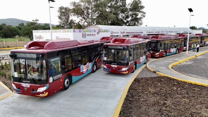 BinniBus GRATUITO en OAXACA: En qué ruta aplica y cuál es el horario de servicio