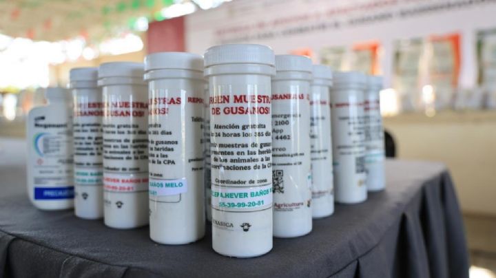 Entregan 500 kits de medicinas a ganaderos de la Costa para combatir al gusano barrenador en OAXACA
