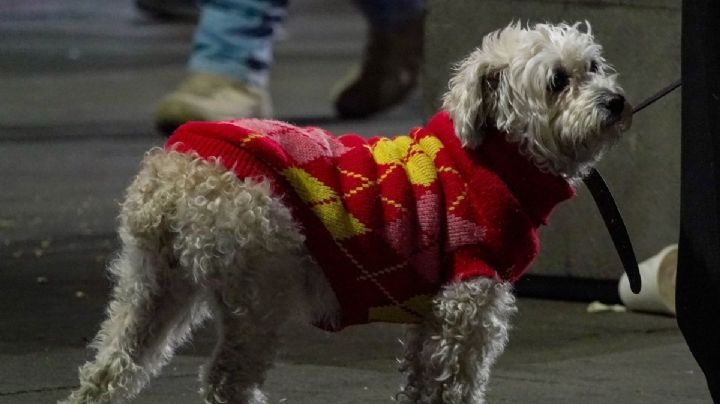 Frente Frío 28 provoca heladas en estas regiones de OAXACA: ¿Cuándo se termina la temporada invernal en México este 2026?