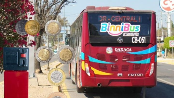 BinniBus estrena alcancías de cobro en todas sus rutas excepto en una; ¿Cómo puedes pagar tu pasaje en la línea RT-01 Viguera-Xoxocotlán?