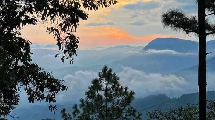 San José del Pacífico, la joya de OAXACA que te enamorará con sus paisajes cubiertos de niebla este 2026