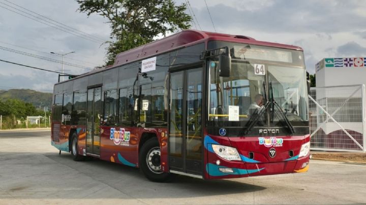 Binnibus abre febrero de 2026 con 3 nuevas rutas y planes de expansión al Istmo de Tehuantepec