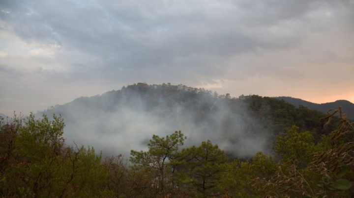 OAXACA suma 27 incendios forestales en lo que va de 2026; Istmo y Costa, las regiones más afectadas