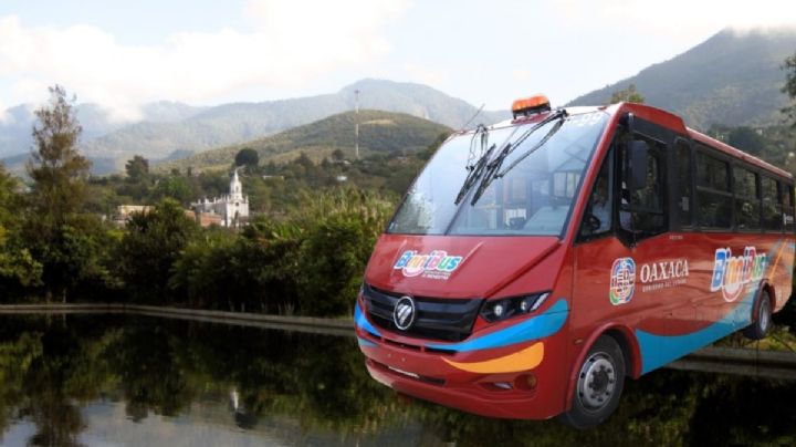 BinniBus pone a votación las nuevas rutas para 2026; ¿Cuál es la ruta más votada por los oaxaqueños y la que más piden?