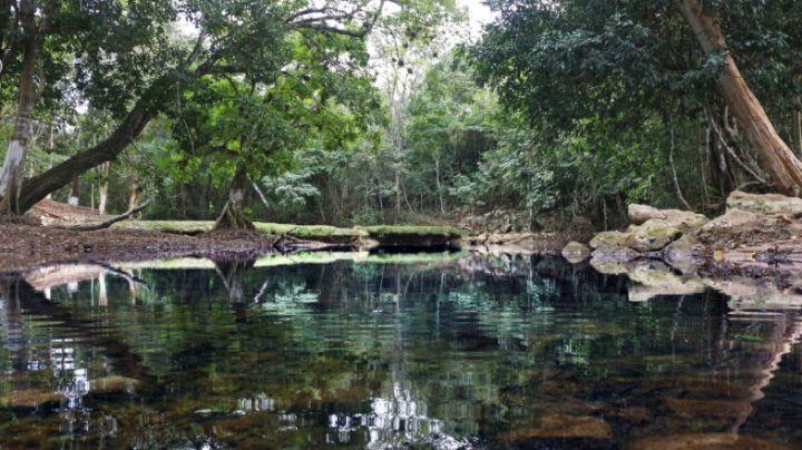 ¿Qué hacer en San Juan Bautista Tuxtepec, el municipio de OAXACA en la cuenca del Papaloapan con atractivos para toda la familia?
