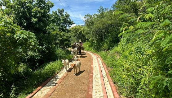 Ruta por Guelatao: Sigue los pasos de Benito Juárez en esta guía para visitar su pueblo natal en OAX