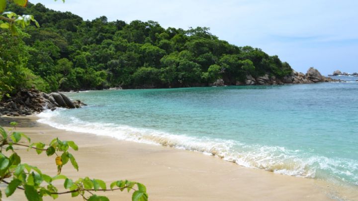 Conoce el paraíso de la costa oaxaqueña con impresionantes paisajes y aguas cristalinas, hogar de ballenas y arrecifes de coral