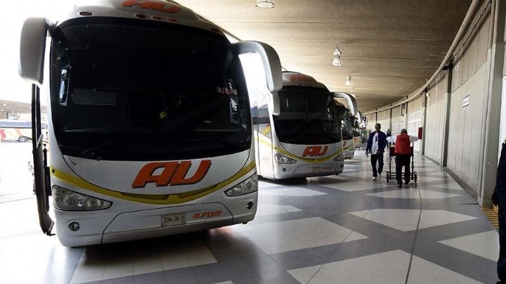 SICT confirma descuentos en transporte para estudiantes y maestros por Semana Santa 2026: ¿Cuáles son los requisitos?