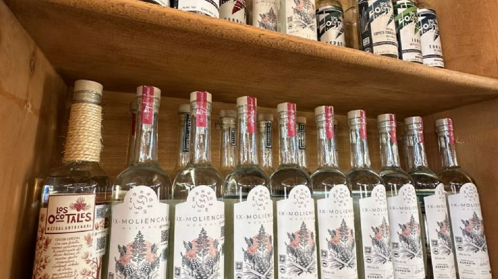 Producción de mezcal ancestral enfrenta presión fiscal y retos de sustentabilidad, afirma productor oaxaqueño