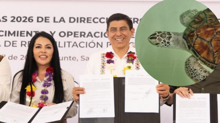 Mazunte estrenará el verano con un nuevo Museo de la Tortuga para miles de visitantes en OAXACA