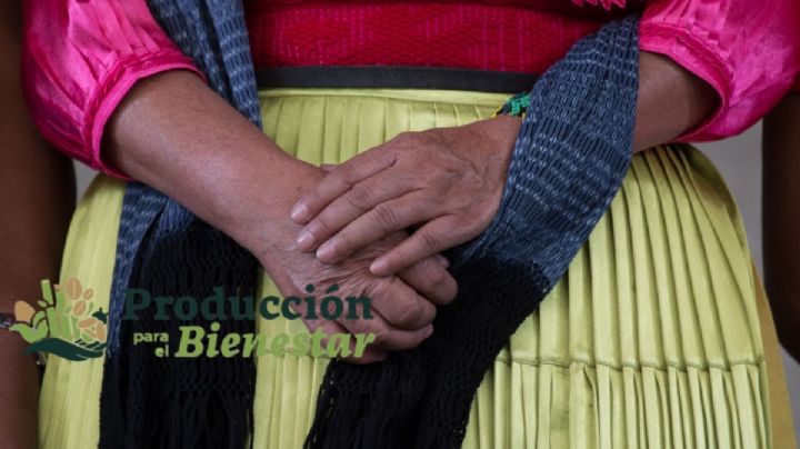 Banco del Bienestar depositará hasta 24 mil pesos el 30 de abril de 2026 a quiénes cubran estos requisitos en OAXACA