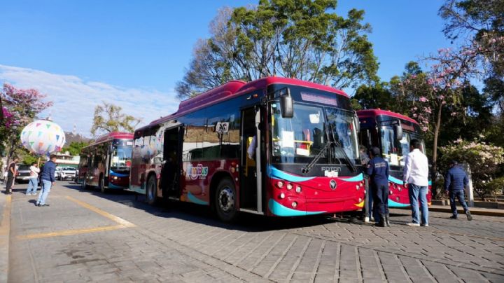 ¡Nueva ruta! BinniBus estrena la RC-03 Nisa (Cántaro) de San Felipe del Agua a Plaza del Valle, así es su recorrido y horarios