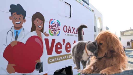Caravanas Ve’e Tata expande sus servicios con especialidades y atención GRATUITA para mascotas