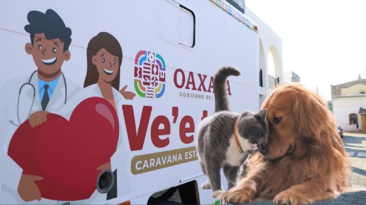 Caravanas Ve’e Tata expande sus servicios con especialidades y atención GRATUITA para mascotas