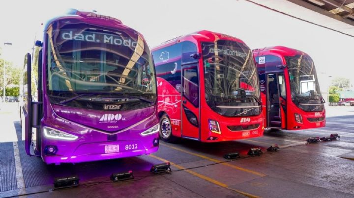 ADO expande sus rutas en OAXACA con unidades nuevas; ¿Habrá descuentos especiales?