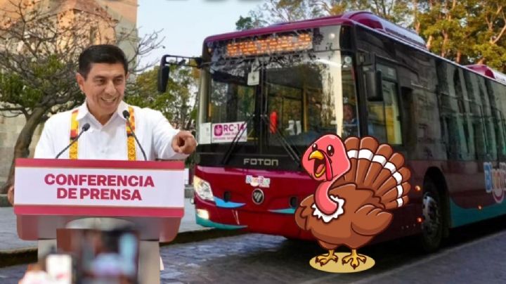 BinniBus contempla dejar subir guajolotes y gallinas en sus 35 rutas; ¿A qué se debe el cambio?