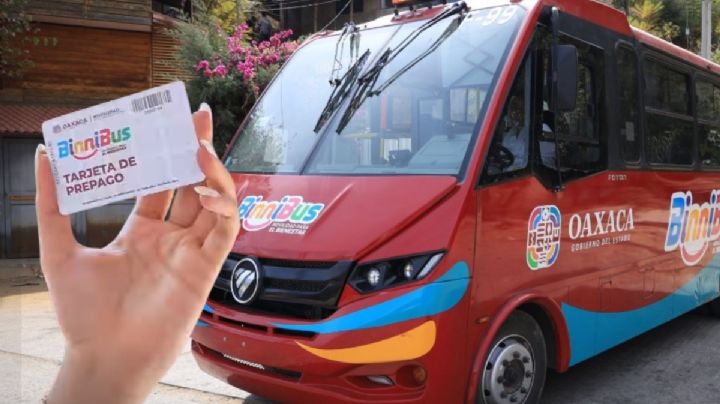 BinniBus comenzará la venta de tarjetas electrónicas este lunes 25 de mayo de 2026 en OAXACA; ¿Dónde comprarla y qué requisitos piden?