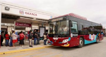 ¿Dónde recoger tu Tarjeta BinniBus? Ubica los módulos oficiales de credencialización en OAXACA a par