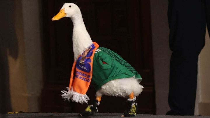 Sheinbaum recibe al Pato Merlín y su familia en Palacio Nacional: "Es lo mejor que nos ha pasado en la vida"